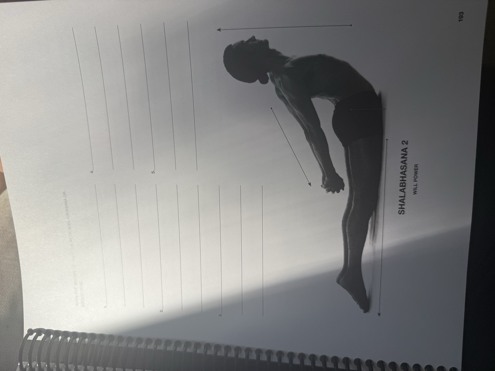 Locust Pose