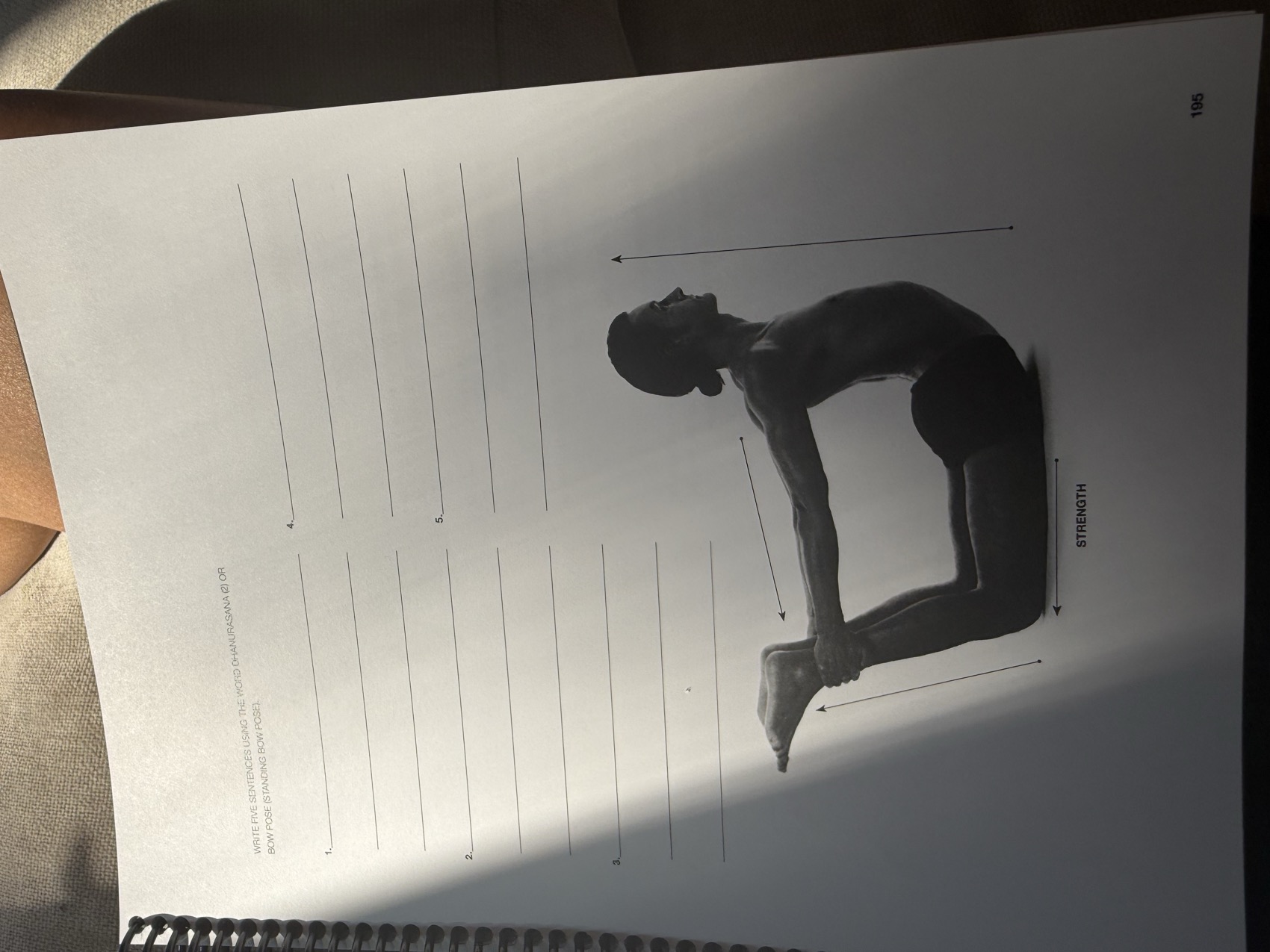 Bow Pose & Standing Bow Pose