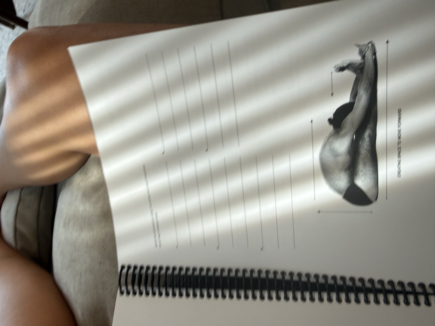 Sitting Forward Bend
