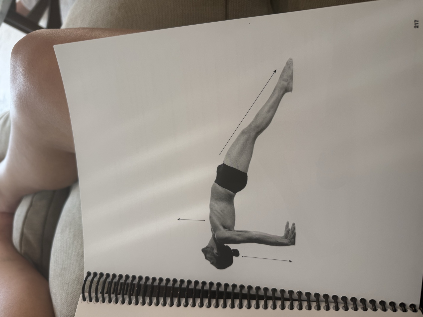 Upward Plank Pose